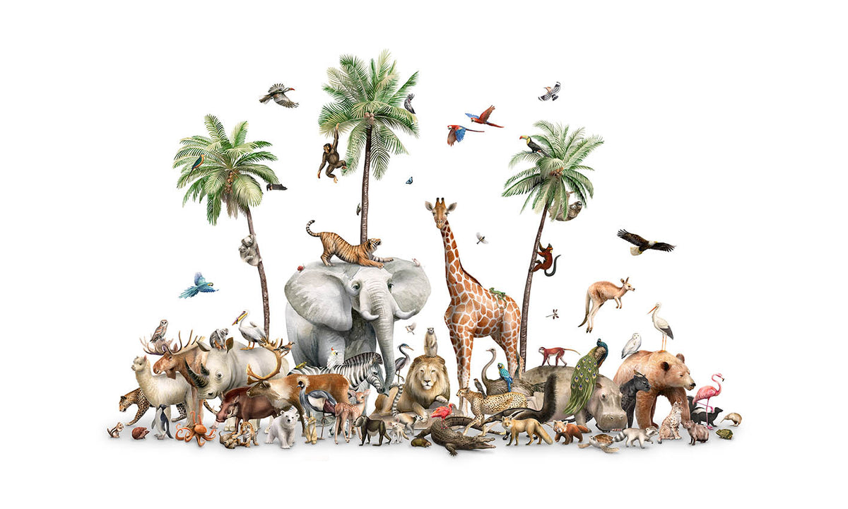 Wild Wonders Wallpaper Murals