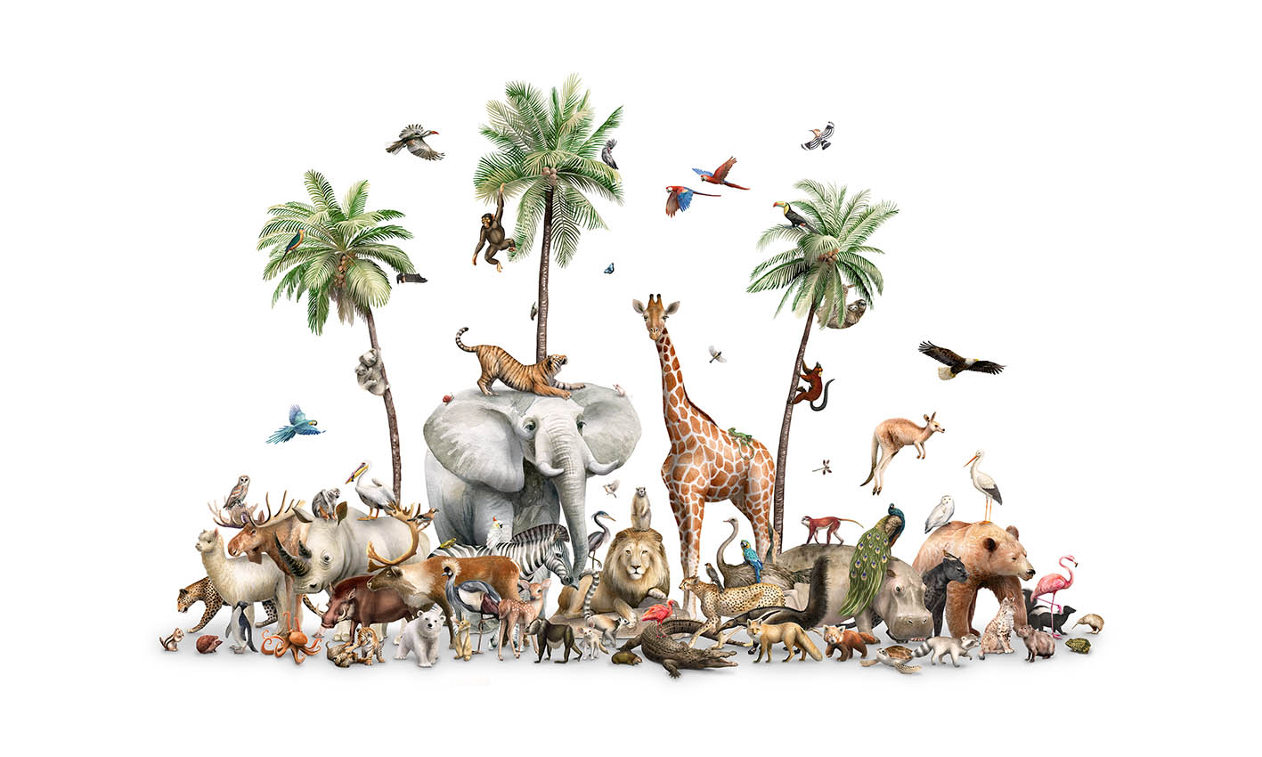 Wild Wonders Wallpaper Murals