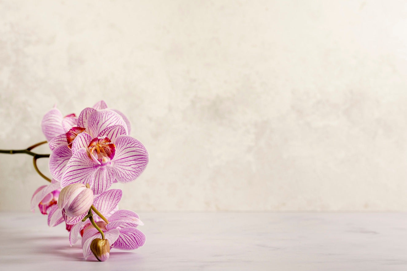 Spa Flower Wallpaper Mural