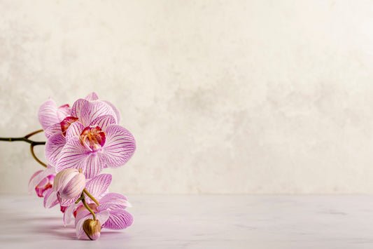 Spa Flower Wallpaper Mural