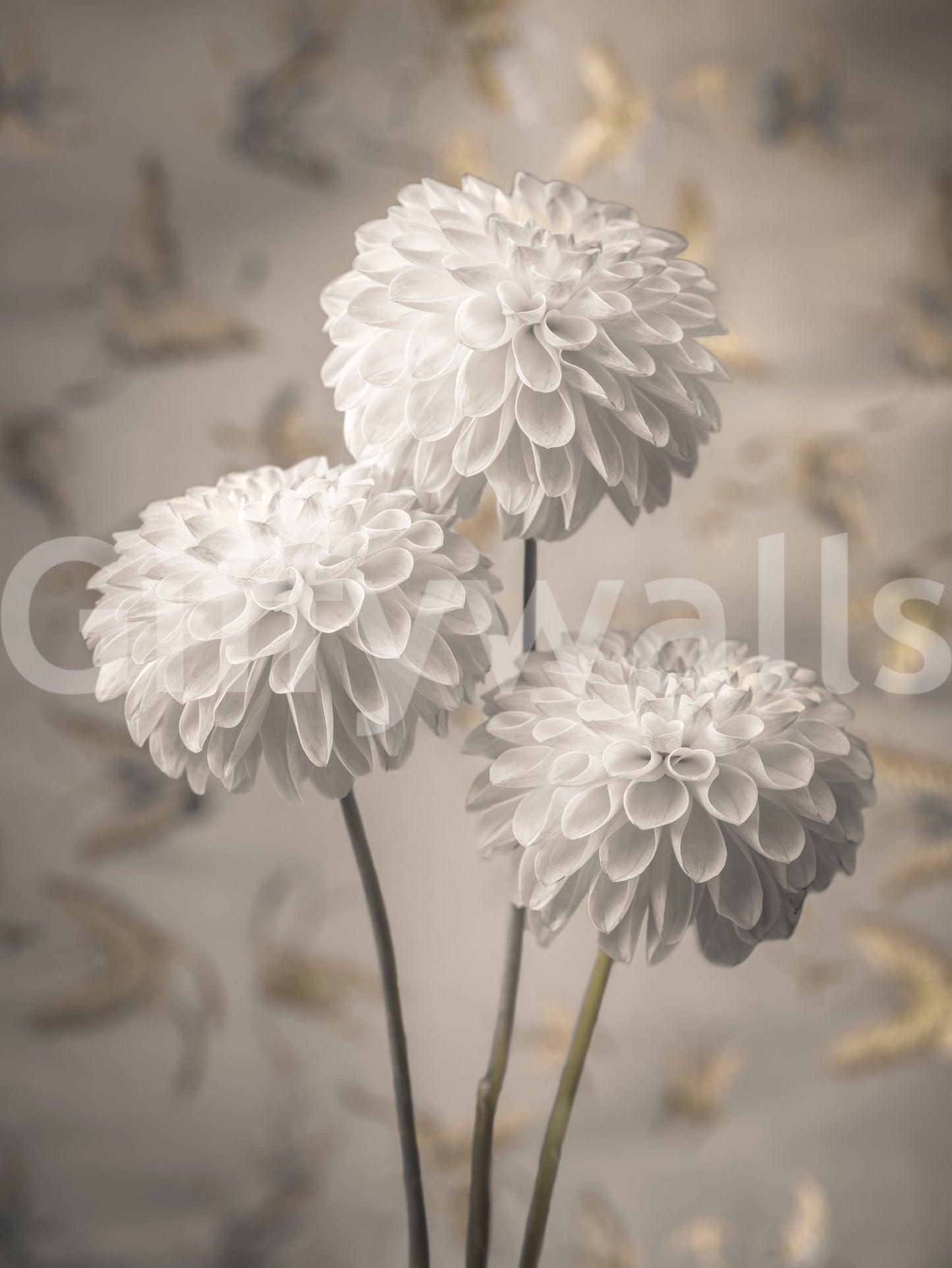 Beige Blooms Wall Mural