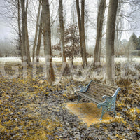 Charming iron Bench at Park Wall Mural, detailed forest wall art.