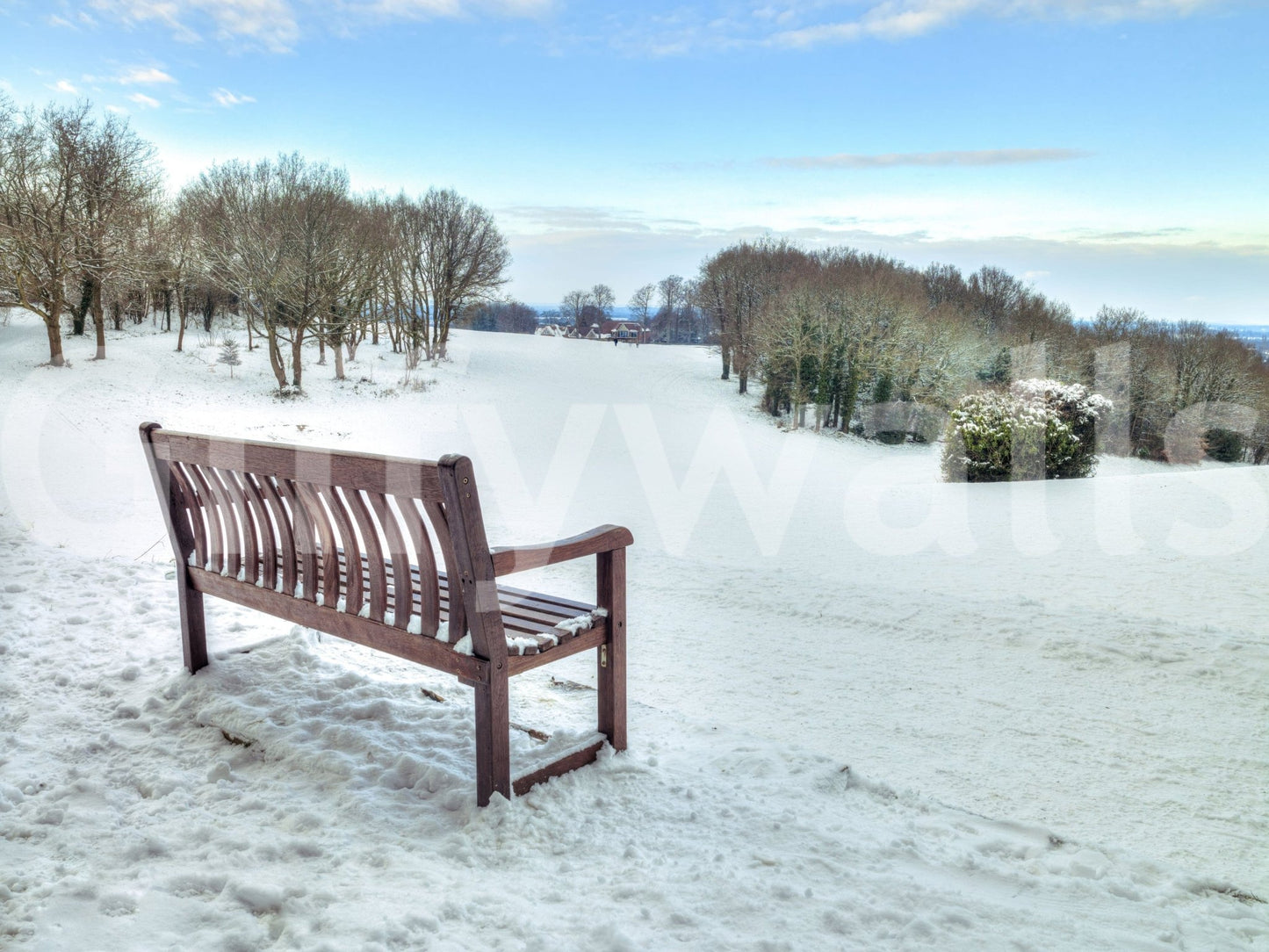 Panoramic view of a snowy landscape mural with blue sky.