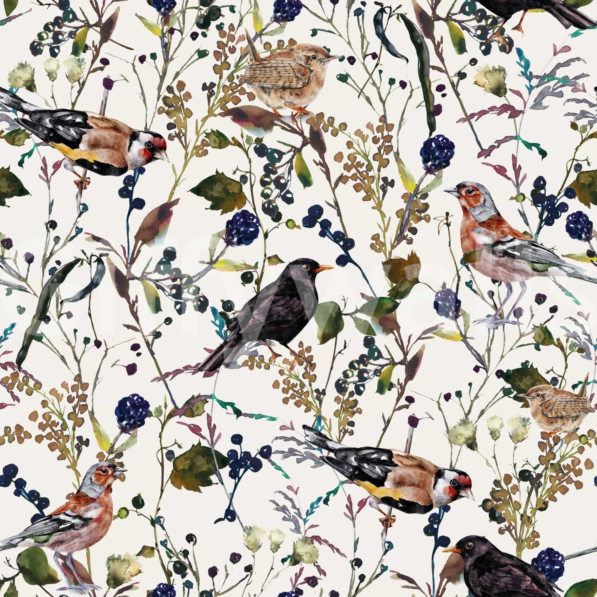 Colorful berry song birds wallpaper for a cheerful interior aesthetic.