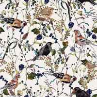 Colorful berry song birds wallpaper for a cheerful interior aesthetic.