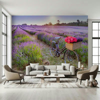 Bicycle in a Lavender Field Wall Mural