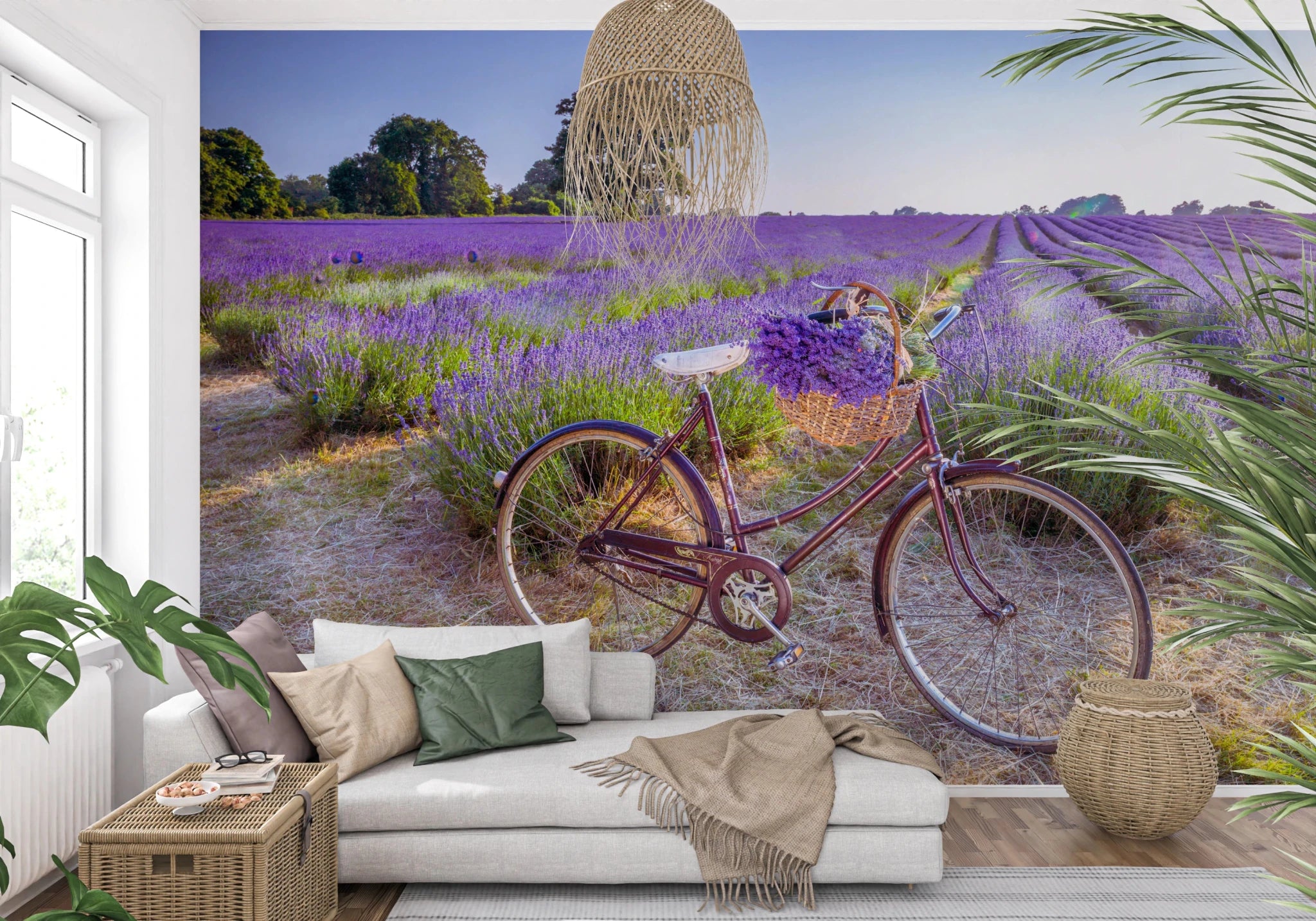 Bicycle in Lavender field Wall Mural for bedroom with purple floral theme.