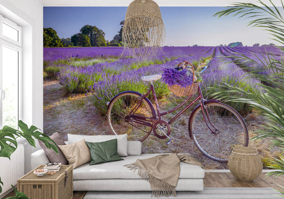 Bicycle in Lavender field Wall Mural for bedroom with purple floral theme., GD8292