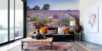 Lavender field wall mural for feature wall in a wellness space.