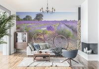 Scenic nature wallpaper featuring a bike basket full of lavender.