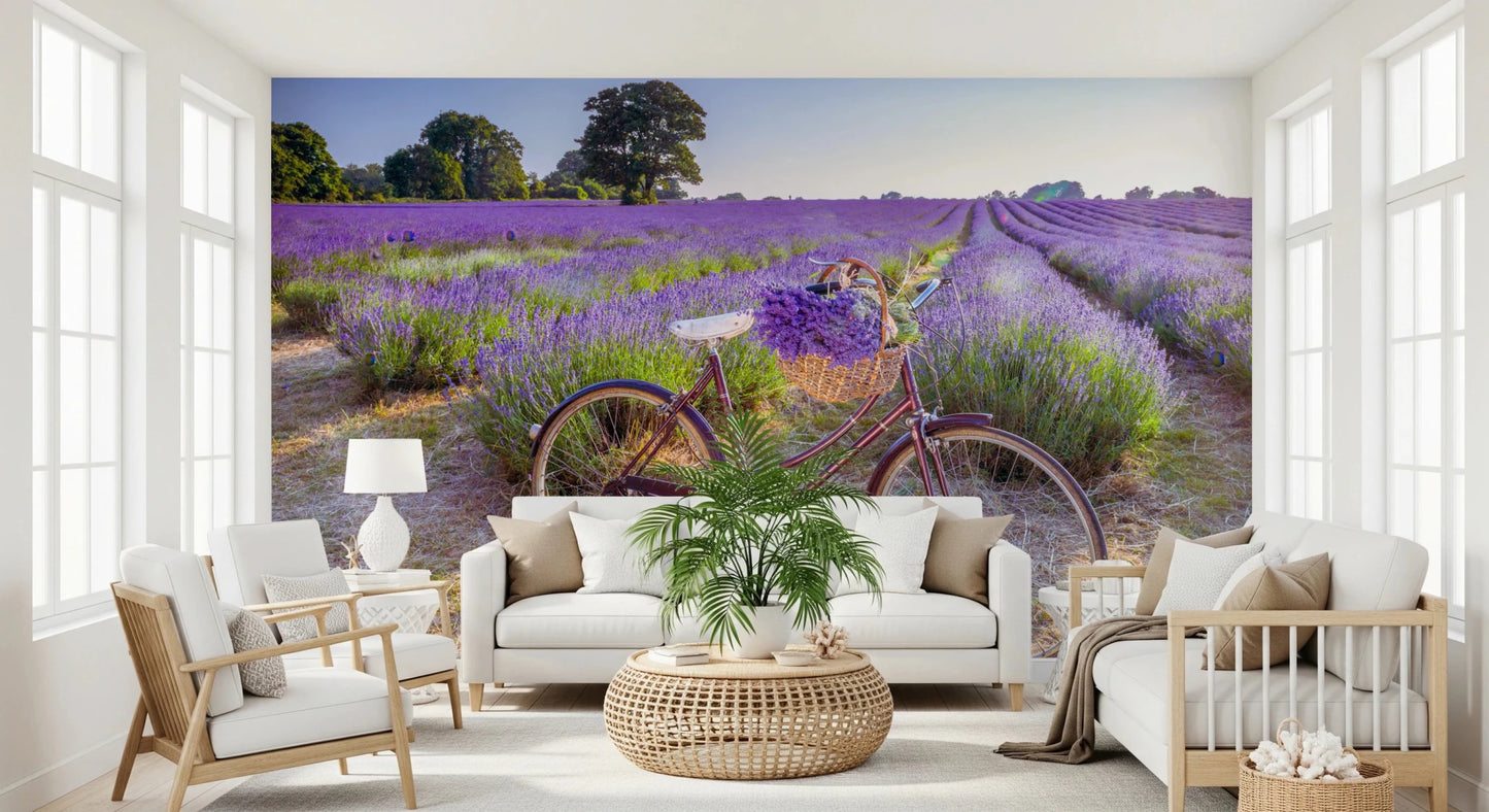 Lavender field wall mural with vintage bike for office feature wall.