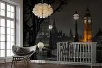 The overall mood is dramatic and timeless.

