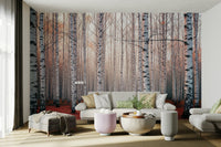 The image has a calm, tranquil mood.

