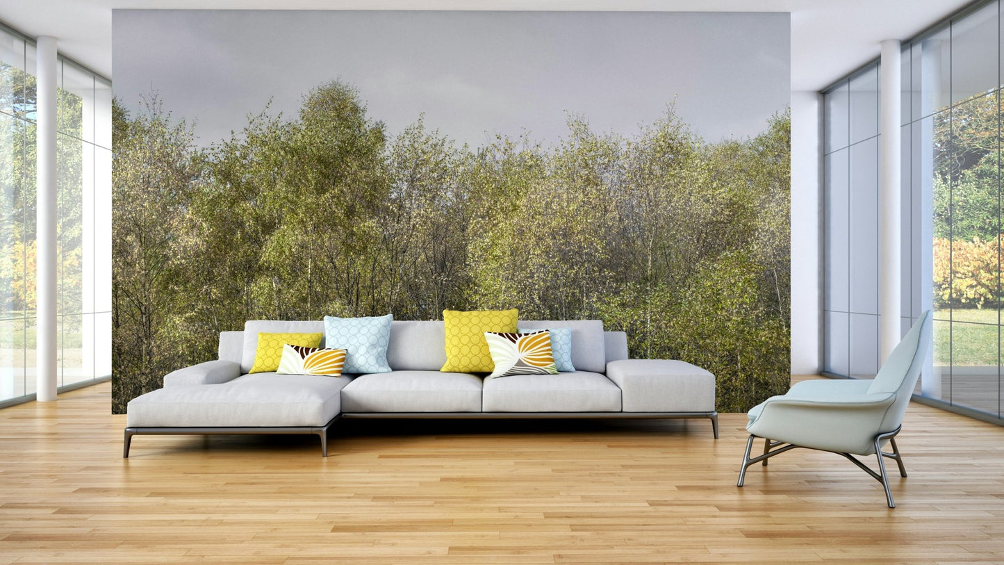 A living room featuring the birch grove wall mural.


