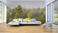 A living room featuring the birch grove wall mural.

