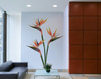 Decorative mural showcasing tropical floral beauty

