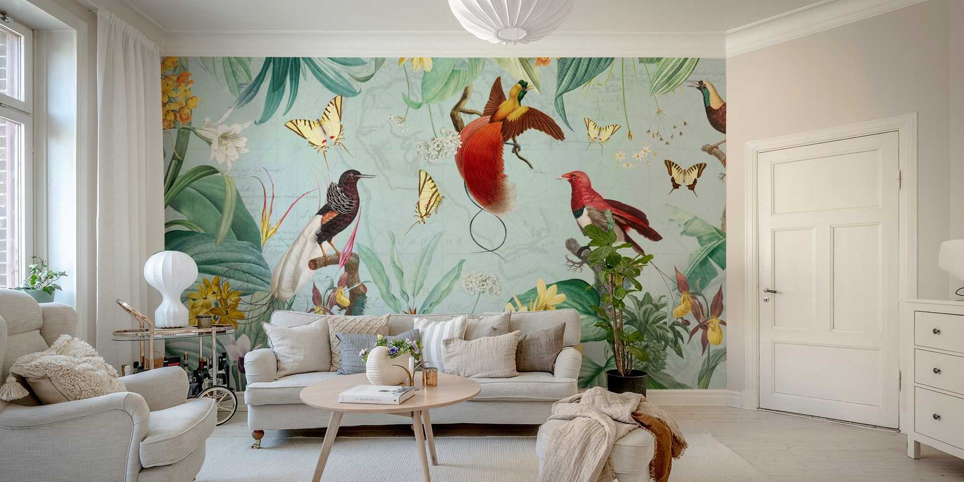 Vibrant Birds of Paradise Wall Mural for Living Room.

