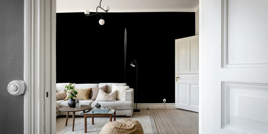 A beautiful monochrome wallpaper mural for a modern home.

