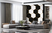 Black and White Hexagon mural adds a sophisticated look to a loungeGD9512