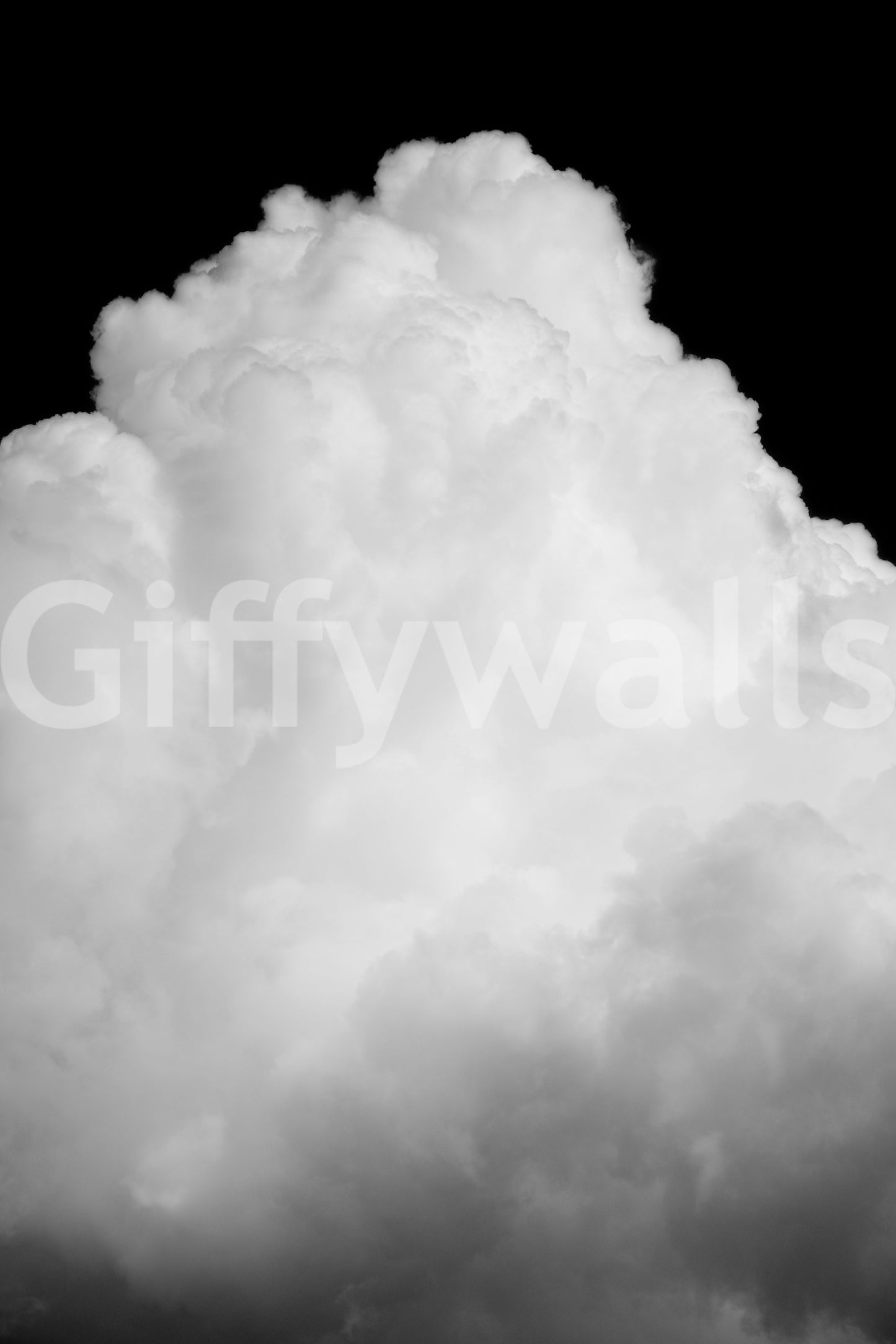 Black Clouds III Wall Mural