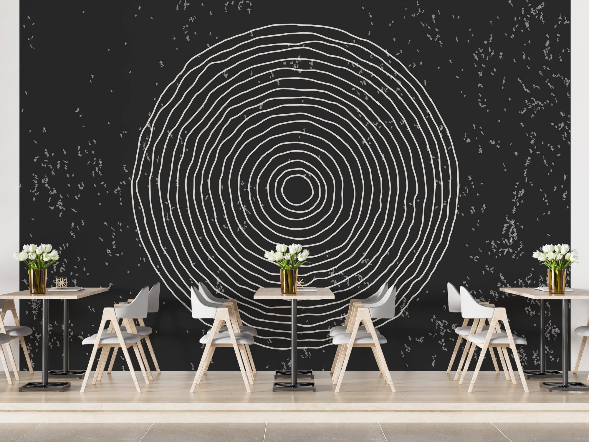 Black & White Concentric Circles Wallpaper Mural A264