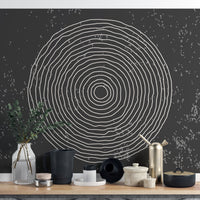 Stylish black and white concentric circles mural for spaces