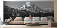 Black and White Landscape Mountain Peel and Stick Wallpaper A704