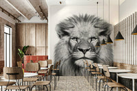 Black and white lion portrait photo GD311