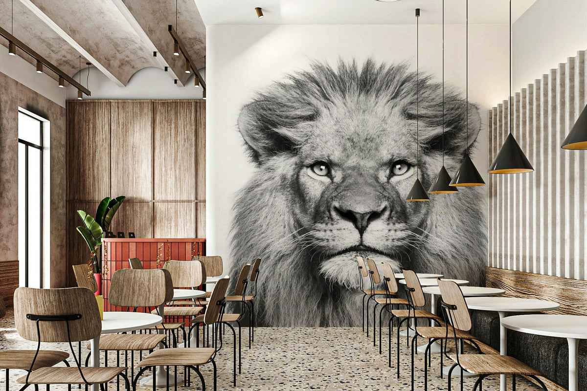 Black and white lion portrait photo GD311