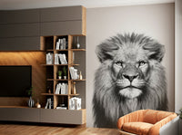 Intense lion stare black white GD311