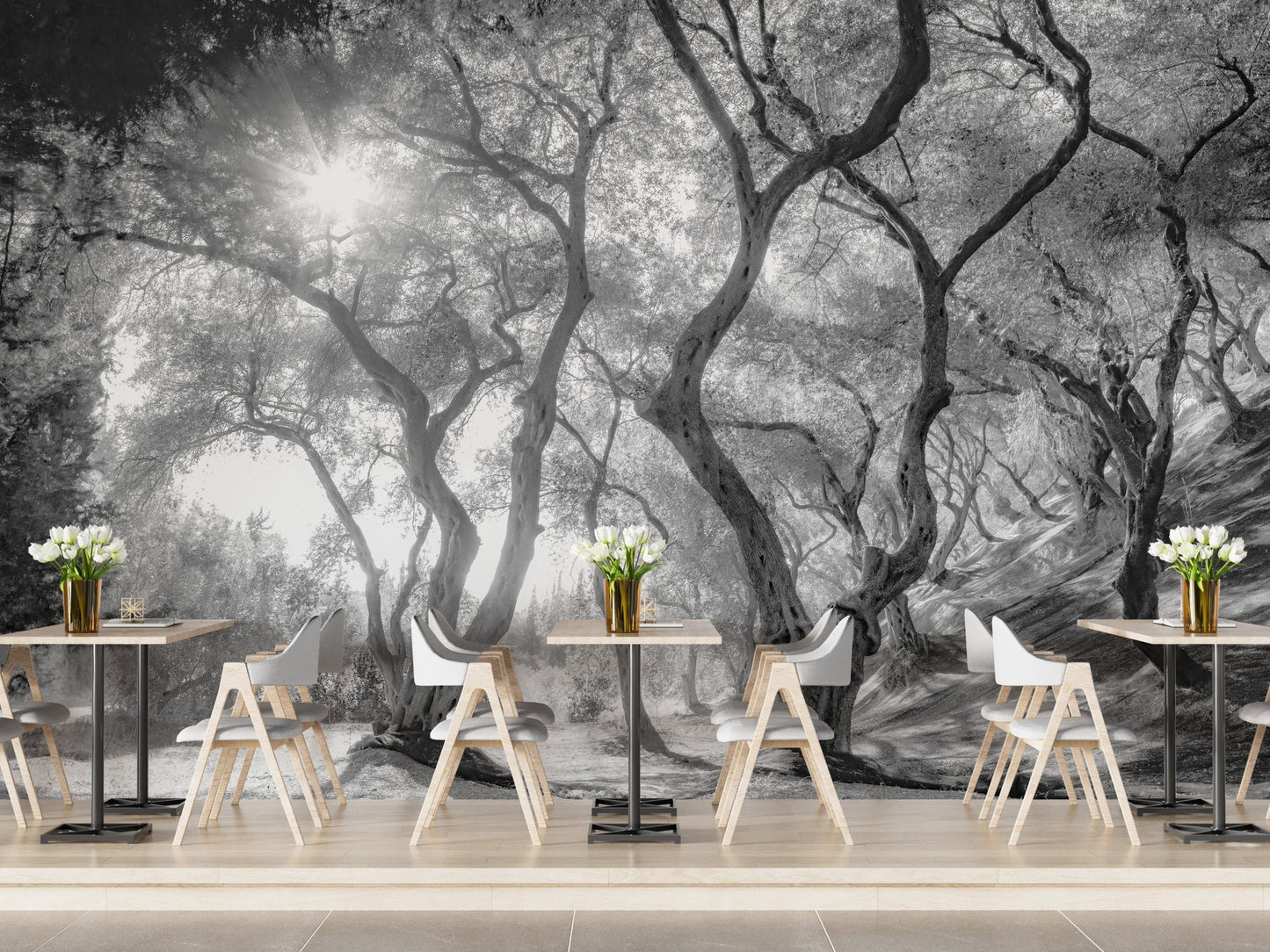 Black & White Natural Olive Groves Forest Wallpaper - Giffywalls A238