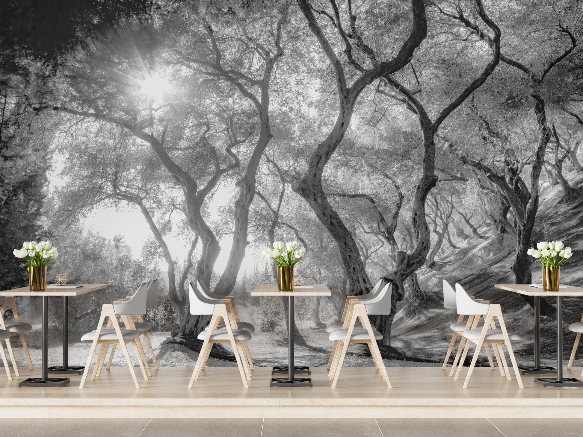 Black & White Natural Olive Groves Forest Wallpaper - Giffywalls A238