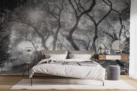 Natural olive grove wallpaper in monochrome tones A238