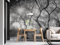 Black & White Natural Olive Groves Forest Wallpaper - Giffywalls A238