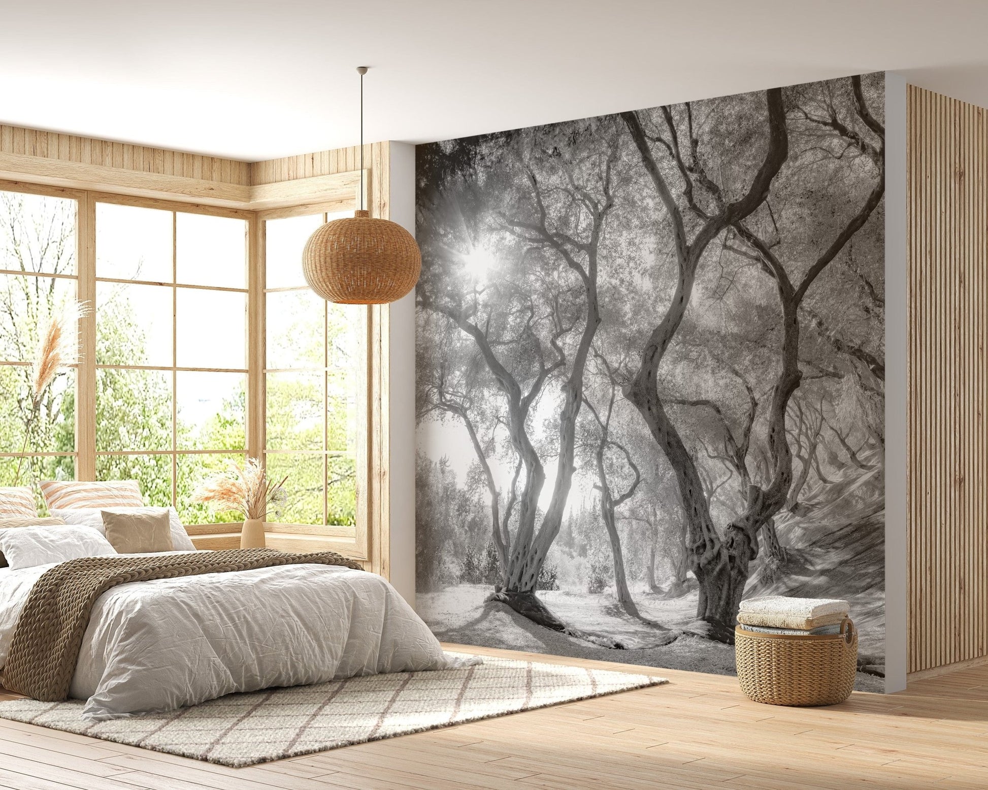 Black & White Natural Olive Groves Forest Wallpaper - Giffywalls A238