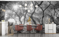 Black & White Natural Olive Groves Forest Wallpaper - Giffywalls A238