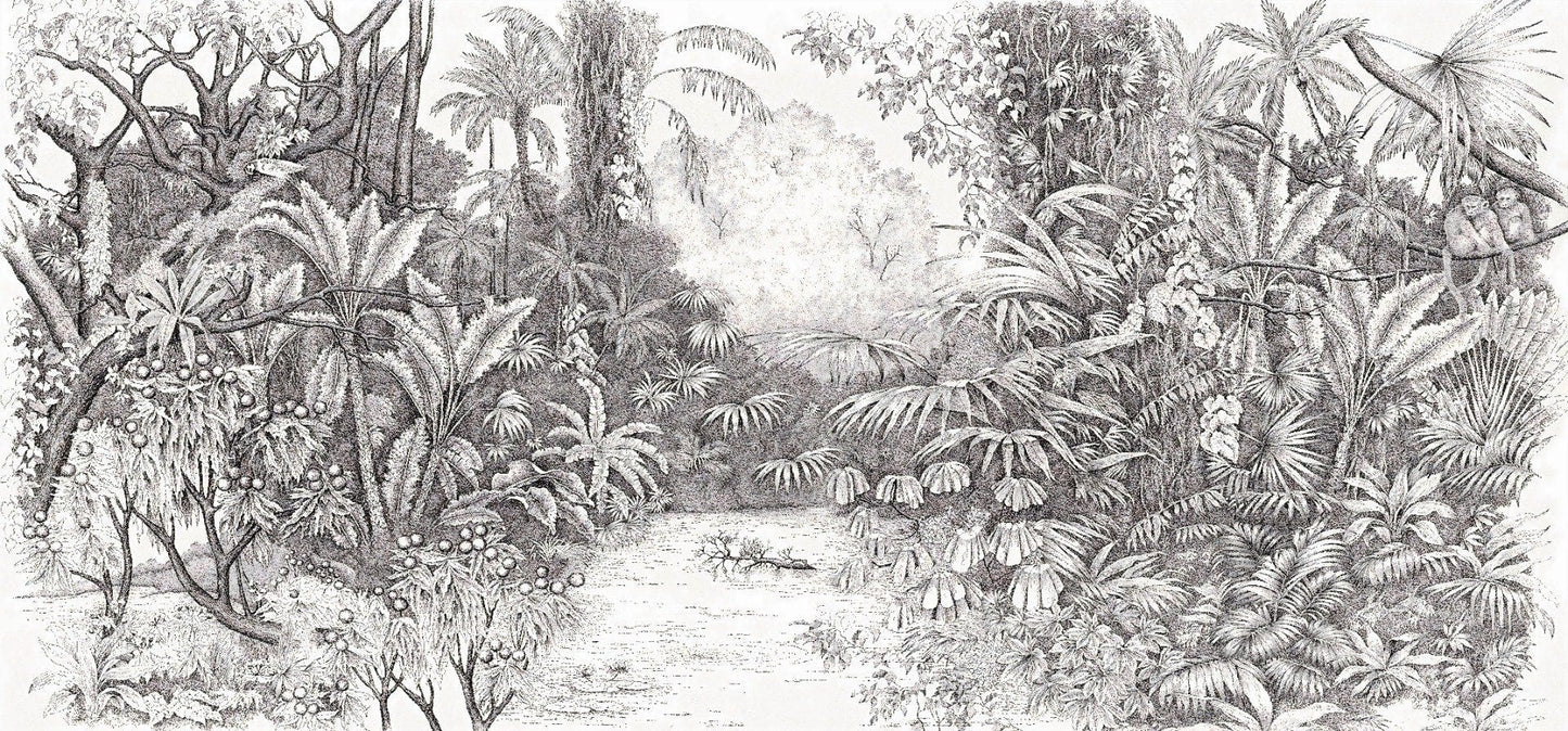 Black & White Nature Scenario Wallpaper Wall Mural - Giffywalls A381