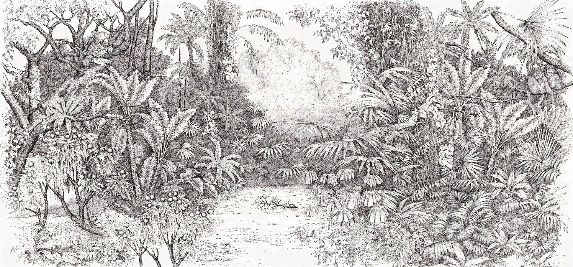 Black & White Nature Scenario Wallpaper Wall Mural - Giffywalls A381