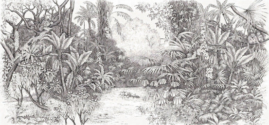 Black & White Nature Scenario Wallpaper Wall Mural - Giffywalls A381