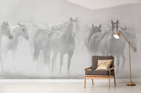 Wild horses black and white wallpaper design
