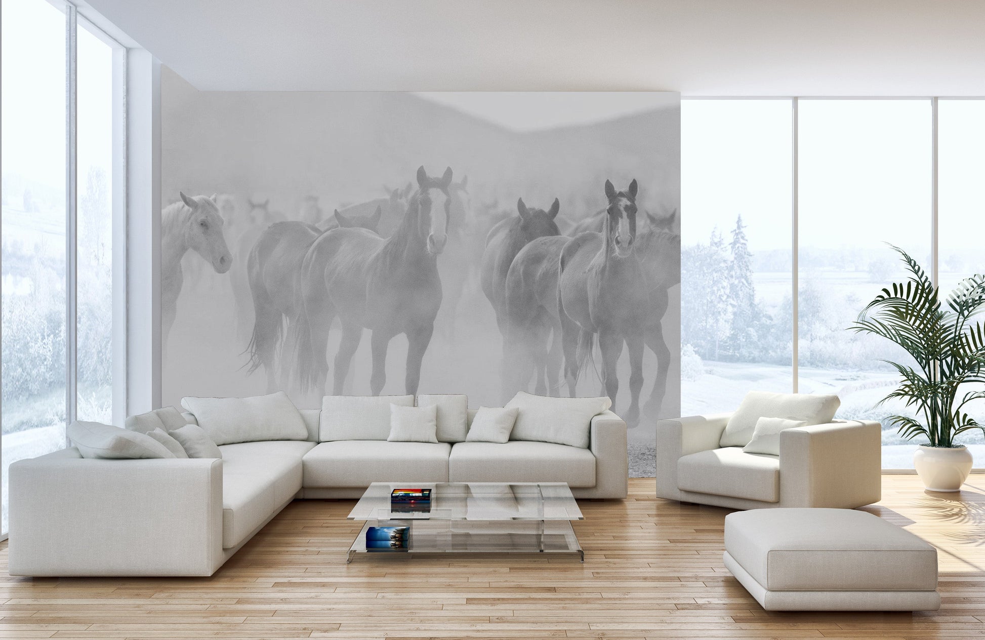 Graceful horse murals in grayscale for interiors
