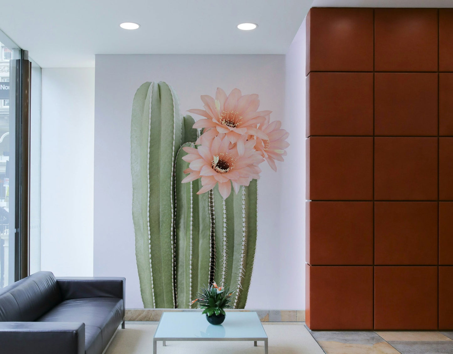 Desert cactus blooming with vibrant botanical flowers.

