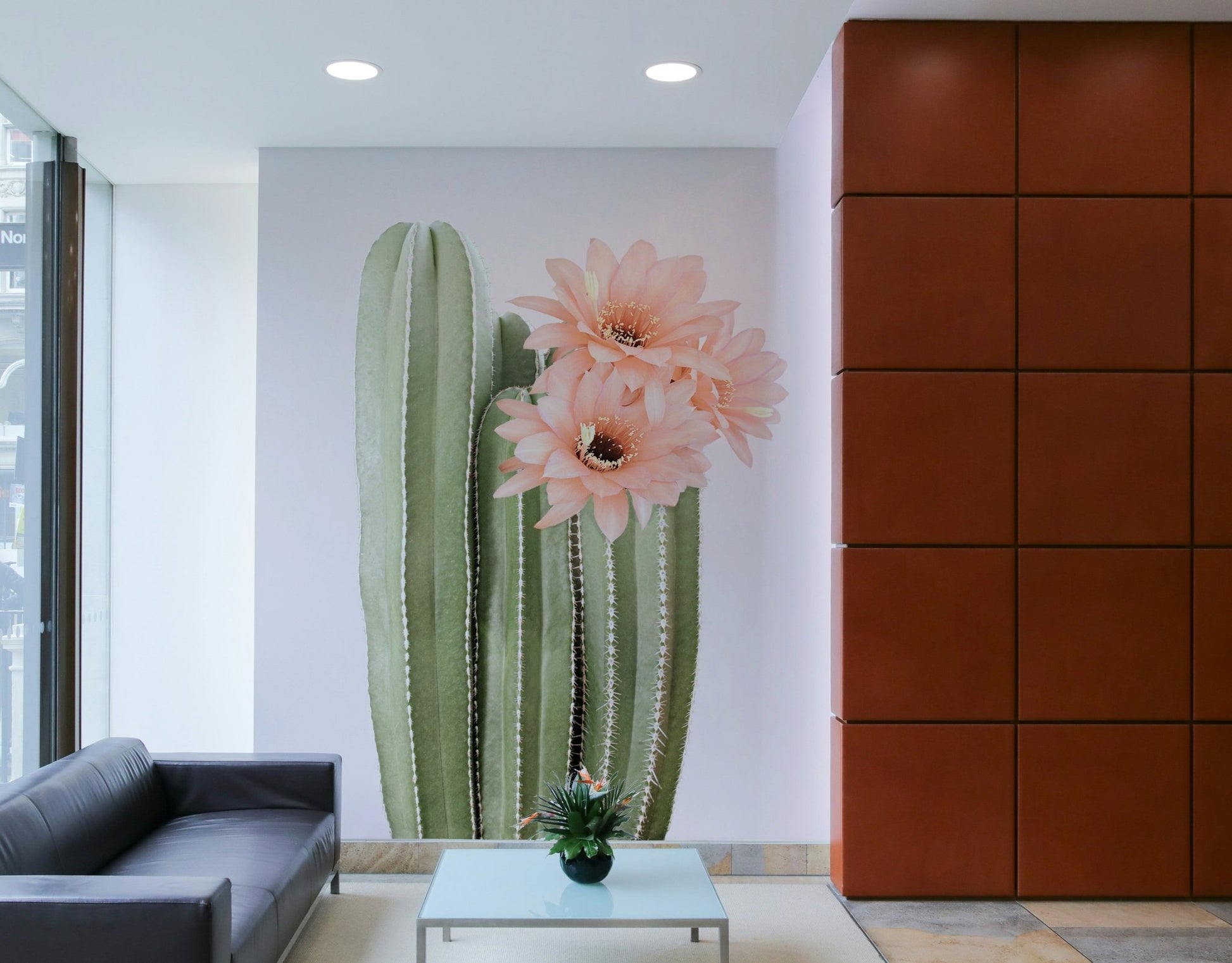 Desert cactus blooming with vibrant botanical flowers.

