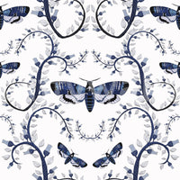 Wallpaper with dark floral vines and haunting blue moths.

