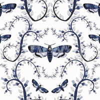 Wallpaper with dark floral vines and haunting blue moths.

