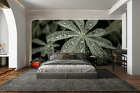 A contemplative lupine flower wallpaper mural for a feature wall., GD4773
