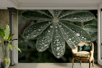 A contemplative flower field wallpaper mural for a feature wall.

