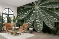 A beautiful serene floral wallpaper mural with blue lupine.

