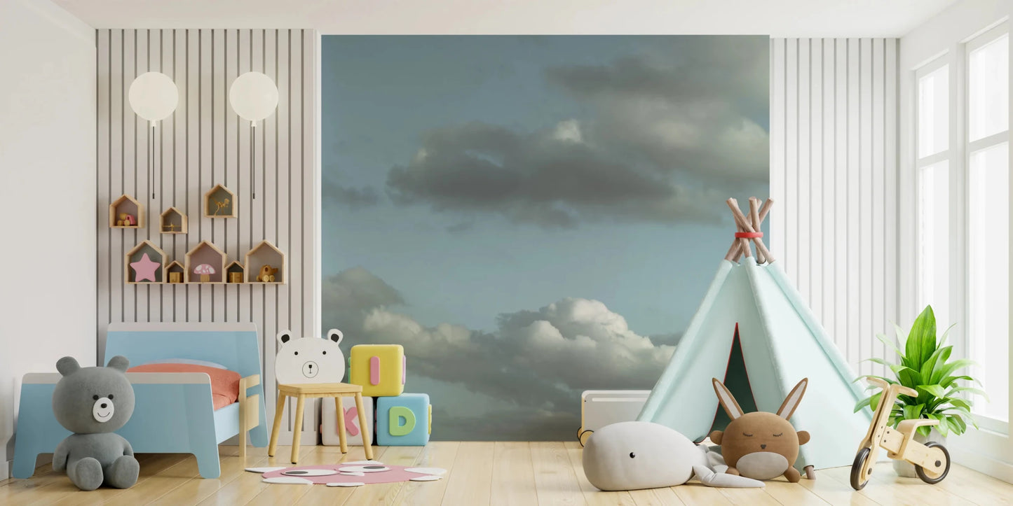 Close sky view from Blue Sky Wall Mural showing soft clouds across a Nursery area, GD8868