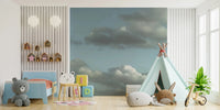 Close sky view from Blue Sky Wall Mural showing soft clouds across a Nursery area, GD8868